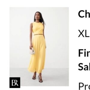 Banana Republic Factory Chiffon Top & Maxi  Skirt - Set